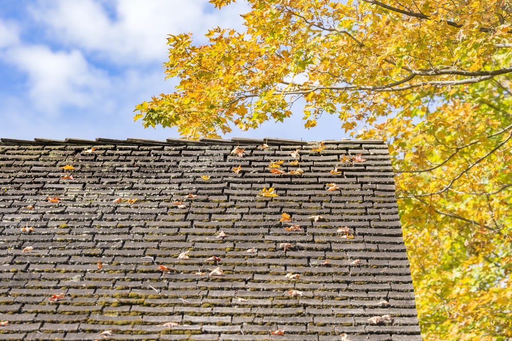 How To Tell If You Need a New Roof for your Home