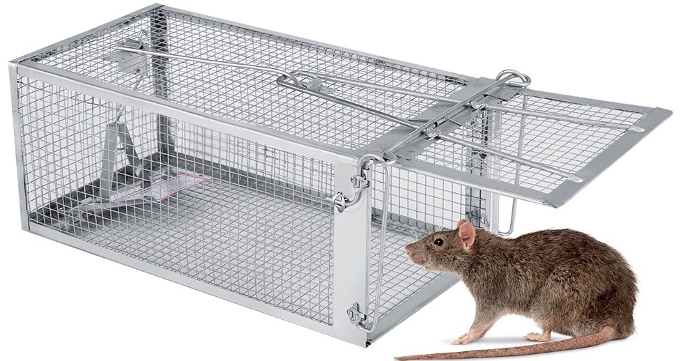 https://www.strongguard.com.au/wp-content/uploads/2022/02/live-rodent-trap.jpg